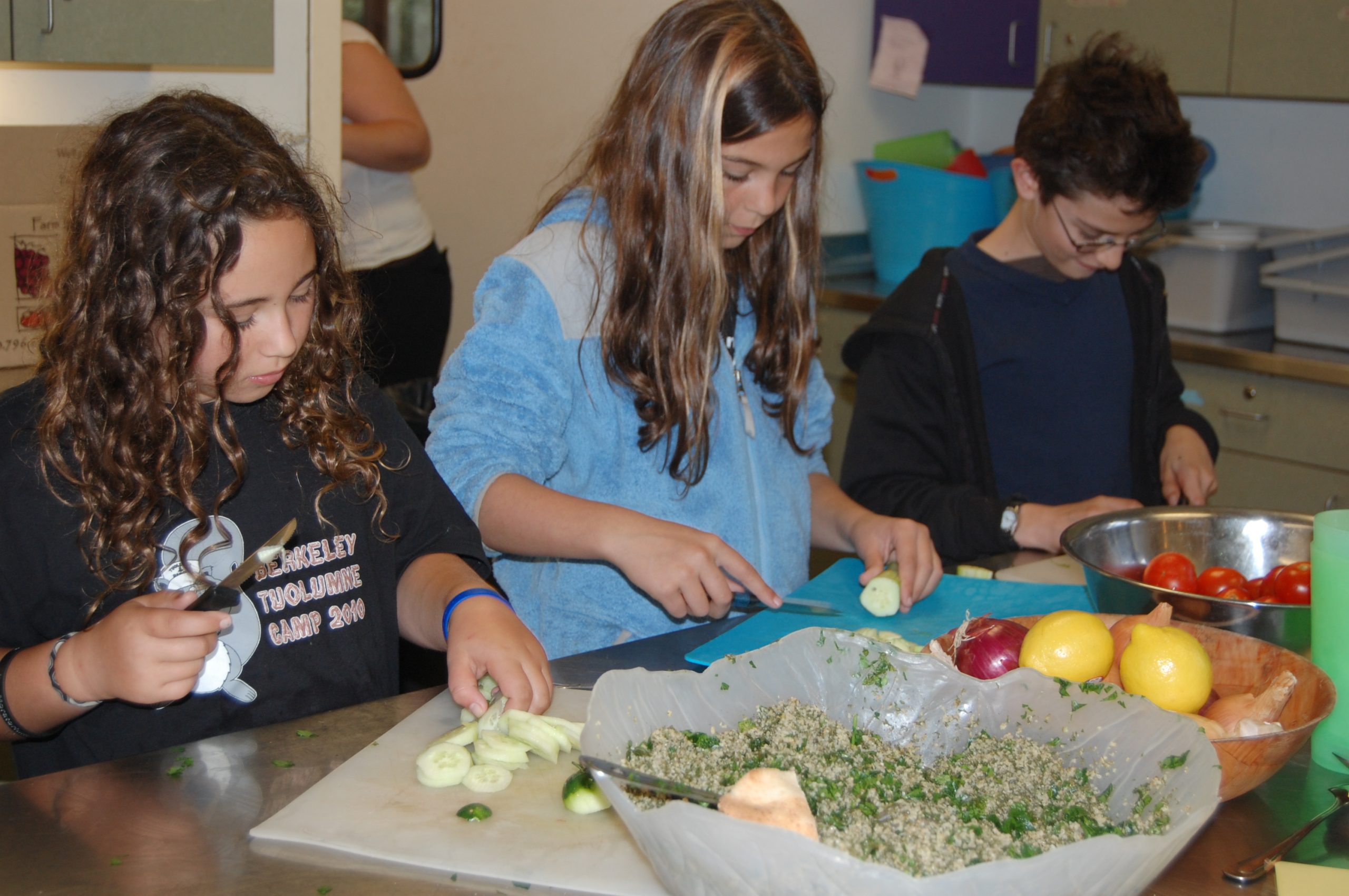 Home for Dinner: Hazon Jewish Family Meals Initiative