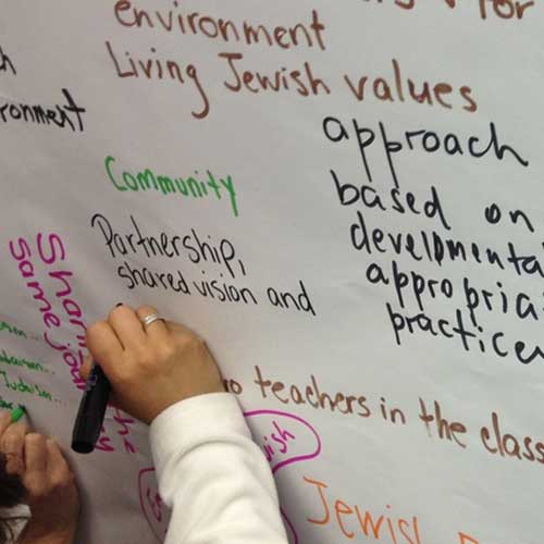 Nurturing and Networking the Seeds of Excellence: A Flexible, Cost-Effective, Blended-Learning Approach to Systemic Change in Jewish Early Childhood Education